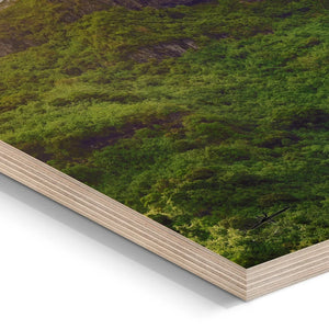 Close-up of photo print on wood panel featuring green forest landscape.