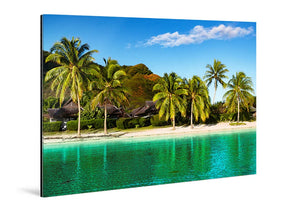Acrylic photo print of tropical beach with palm trees, clear turquoise water, and blue sky