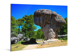 Glossy aluminum Dibond photo print of mushroom-shaped rock formation in nature with trees