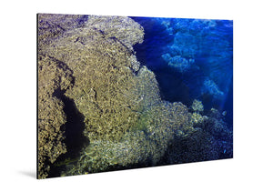 Glossy aluminum photo print featuring an aerial view of coral reefs and deep blue ocean water