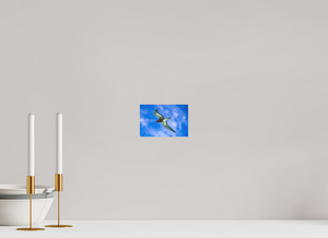 15 x 10 cm, Mate Suspension - Fuji Crystal