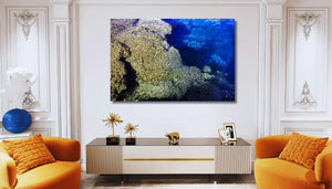 Framed coral reef ocean photo wall art in elegant living room with orange chairs