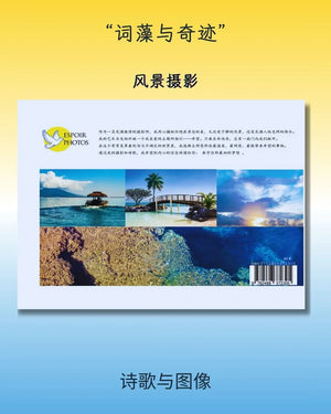 Decorative art photo book cover with Chinese text, tropical landscape photos, and sunset scenes