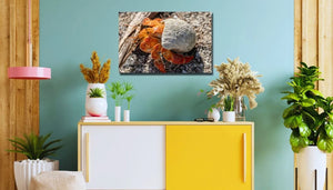 Modern living room with wall art featuring a hermit crab on sandy beach above yellow cabinet