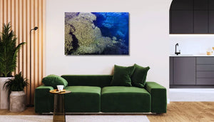 Modern living room with green velvet sofa, nature-inspired wall art, and indoor plants