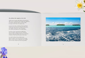page du livre ouvert