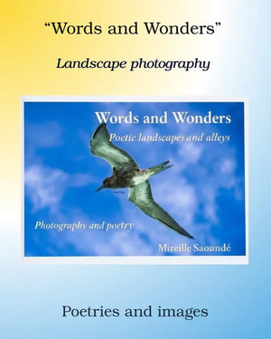 Book cover for 'Words and Wonders' featuring a bird in flight, landscape photography and poetry themes.