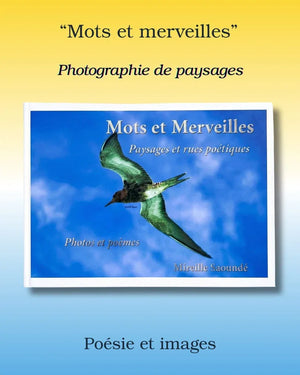 French poetry and landscape photography book cover with a bird flying against a blue sky.