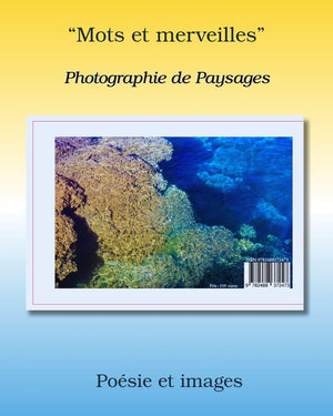 Book cover "Mots et merveilles" with poetic landscape photography and blue-yellow gradient background