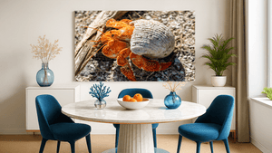 Coquille d’Ambre - Aluminium - ESPOIR PHOTOS