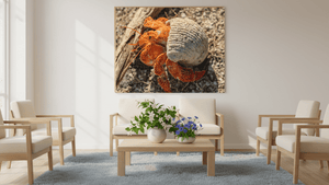 Coquille d’Ambre - Bois - ESPOIR PHOTOS