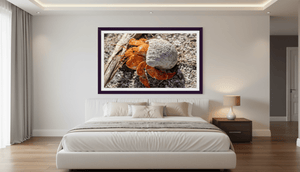 Coquille d’Ambre - Fine Art avec texture - ESPOIR PHOTOS