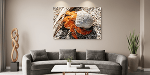 Coquille d’Ambre - Plexiglas - ESPOIR PHOTOS