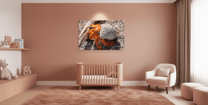 Coquille d’Ambre - Plexiglas - ESPOIR PHOTOS