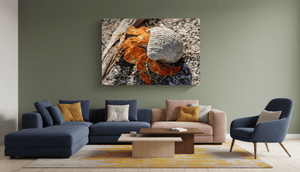 Coquille d’Ambre - Toile - ESPOIR PHOTOS