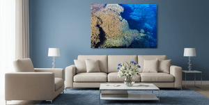 Corail - Plexiglas - ESPOIR PHOTOS