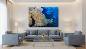 Corail - Toile - ESPOIR PHOTOS