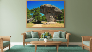 Courbe des Âges - Bois - ESPOIR PHOTOS