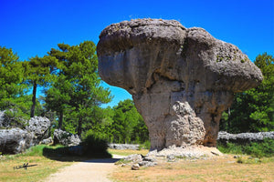 Courbe des Âges - Fuji Crystal - ESPOIR PHOTOS