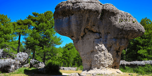 Courbe des âges - Plexiglas - ESPOIR PHOTOS