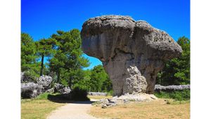 Courbe des âges - Toile - ESPOIR PHOTOS