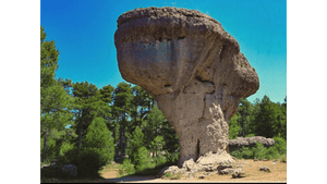 Couronne de Pierre - Bois - ESPOIR PHOTOS