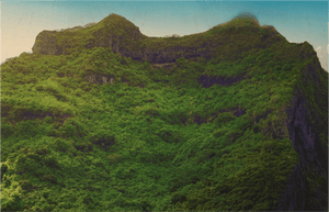 Forêt des Hauteurs - Bois - ESPOIR PHOTOS