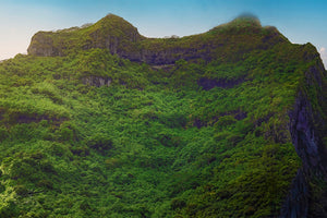 Forêt des Hauteurs - Fine Art sans texture - ESPOIR PHOTOS