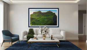 Forêt des Hauteurs - Fuji Crystal - ESPOIR PHOTOS