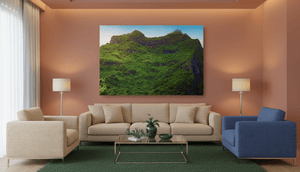 Forêt des Hauteurs - Toile - ESPOIR PHOTOS