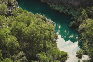 Là où dort le Silence - Bois - ESPOIR PHOTOS