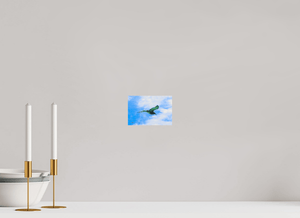 L’Envol Émeraude - ESPOIR PHOTOS