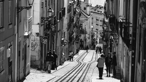 Les Lignes du Temps - Aluminium - ESPOIR PHOTOS