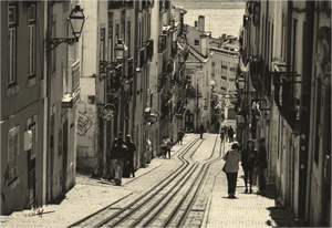 Les Lignes du Temps - Bois - ESPOIR PHOTOS