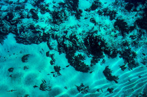 Lumières du Sable - ESPOIR PHOTOS