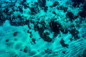 Lumières du Sable - Fuji Crystal avec cadre - ESPOIR PHOTOS