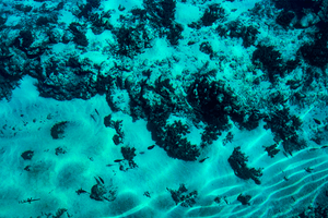 Lumières du Sable - Fuji Crystal avec cadre - ESPOIR PHOTOS