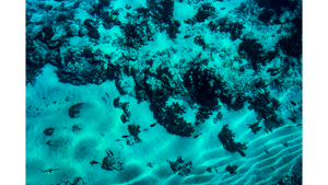 Lumières du Sable - Plexiglas - ESPOIR PHOTOS