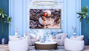 Modern living room with light blue walls, armchairs, plants, and a wall art photo of hermit crabs