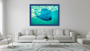 Murmure bleu - Fuji Crystal - ESPOIR PHOTOS