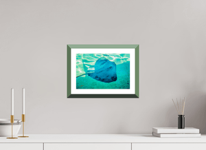 Murmure bleu - Fuji Crystal avec cadre - ESPOIR PHOTOS