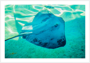 Murmure bleu - Fuji Crystal avec cadre - ESPOIR PHOTOS