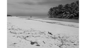 Plage Intemporelle - Aluminium - ESPOIR PHOTOS