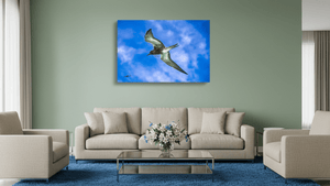 Suspension - Aluminium - ESPOIR PHOTOS