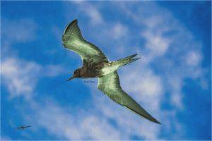 Suspension - Bois - ESPOIR PHOTOS