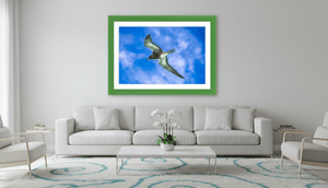 Suspension - Fuji Crystal - ESPOIR PHOTOS