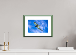 Suspension - Fuji Crystal avec cadre - ESPOIR PHOTOS