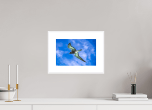 Suspension - Fuji Crystal avec cadre - ESPOIR PHOTOS