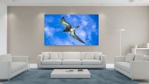 Suspension - Plexiglas - ESPOIR PHOTOS