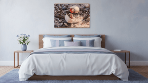 Trésors en Paire - Bois - ESPOIR PHOTOS